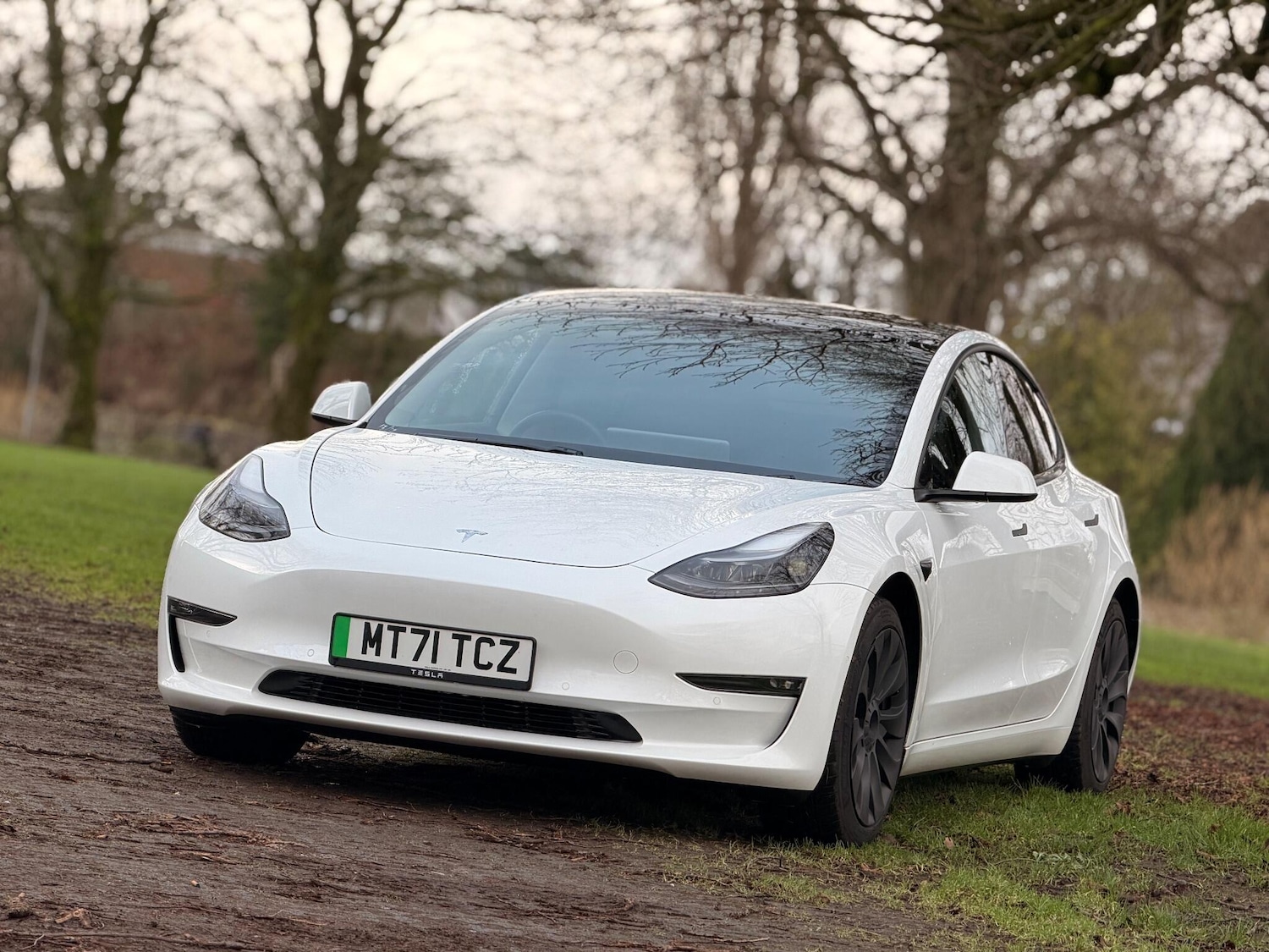 Used Tesla Model 3 2021 for sale - 77440430: Photo 11