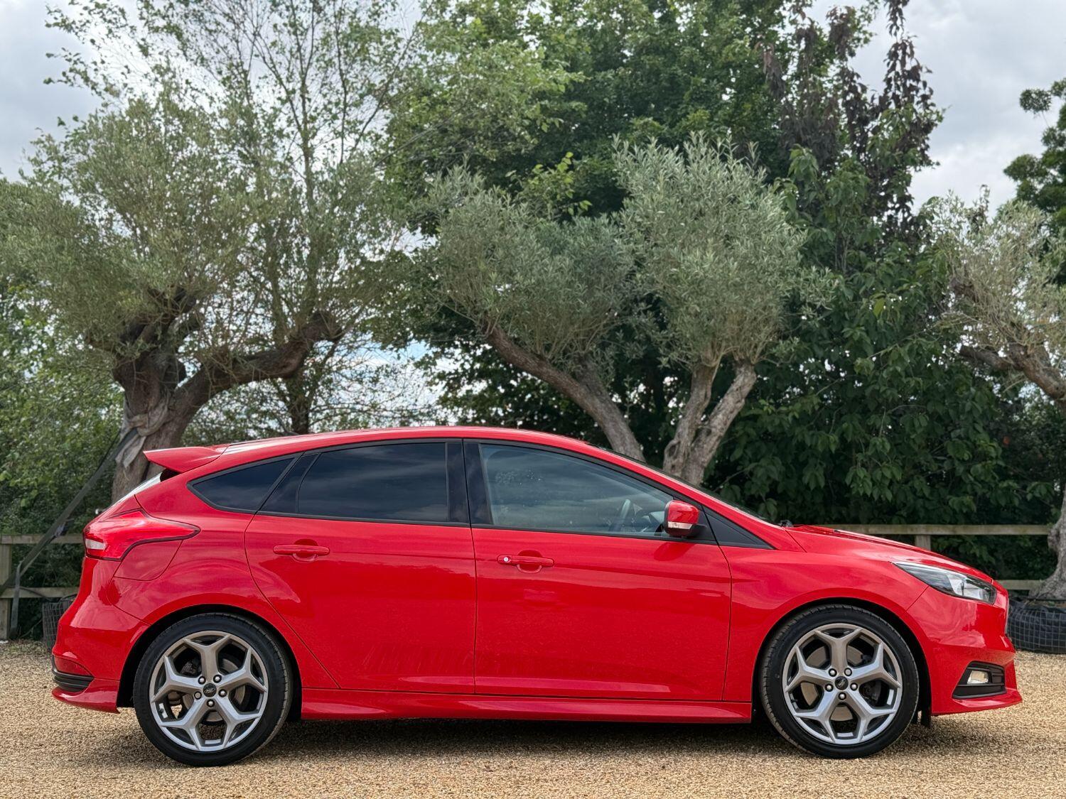 Used Ford Focus 2017 for sale - 77176181: Photo 11