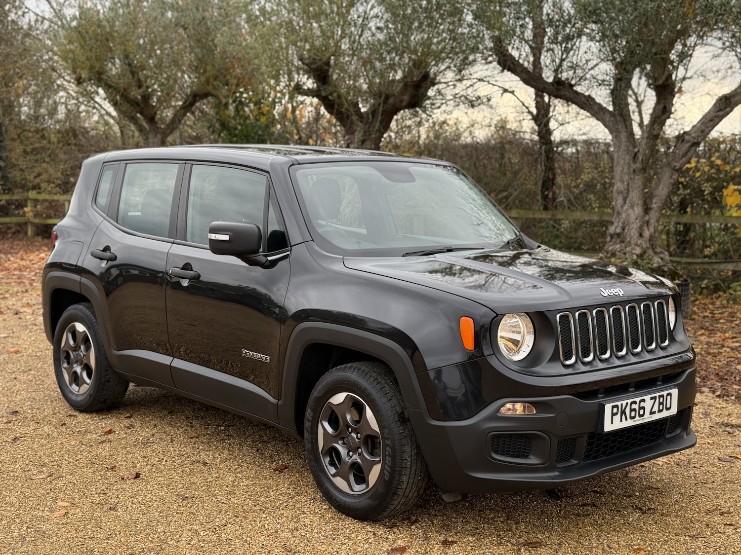 Used Jeep Renegade 2016 for sale - 77176179: Photo 3