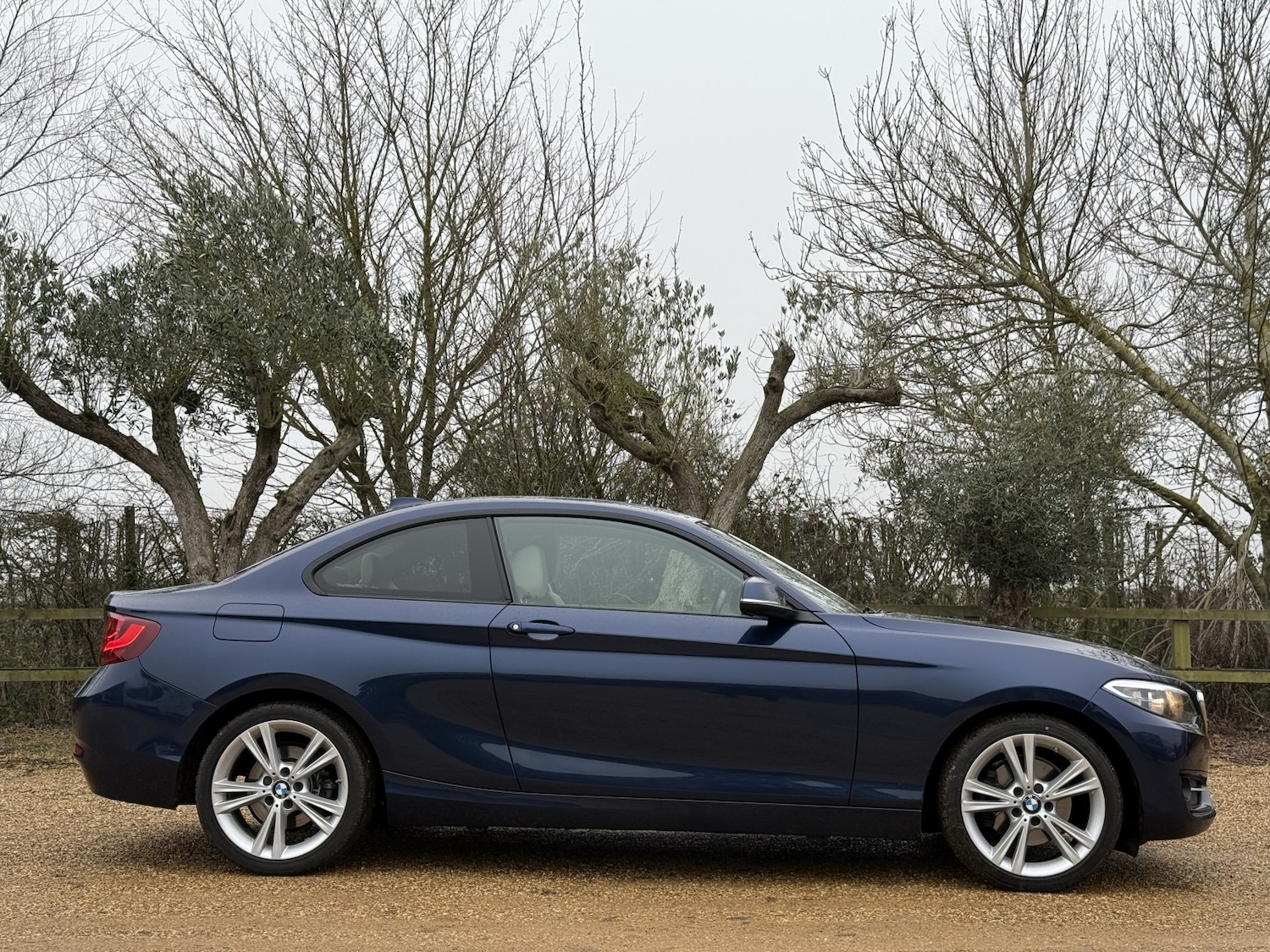 Used BMW 2 Series 2017 for sale - 77176174: Photo 10