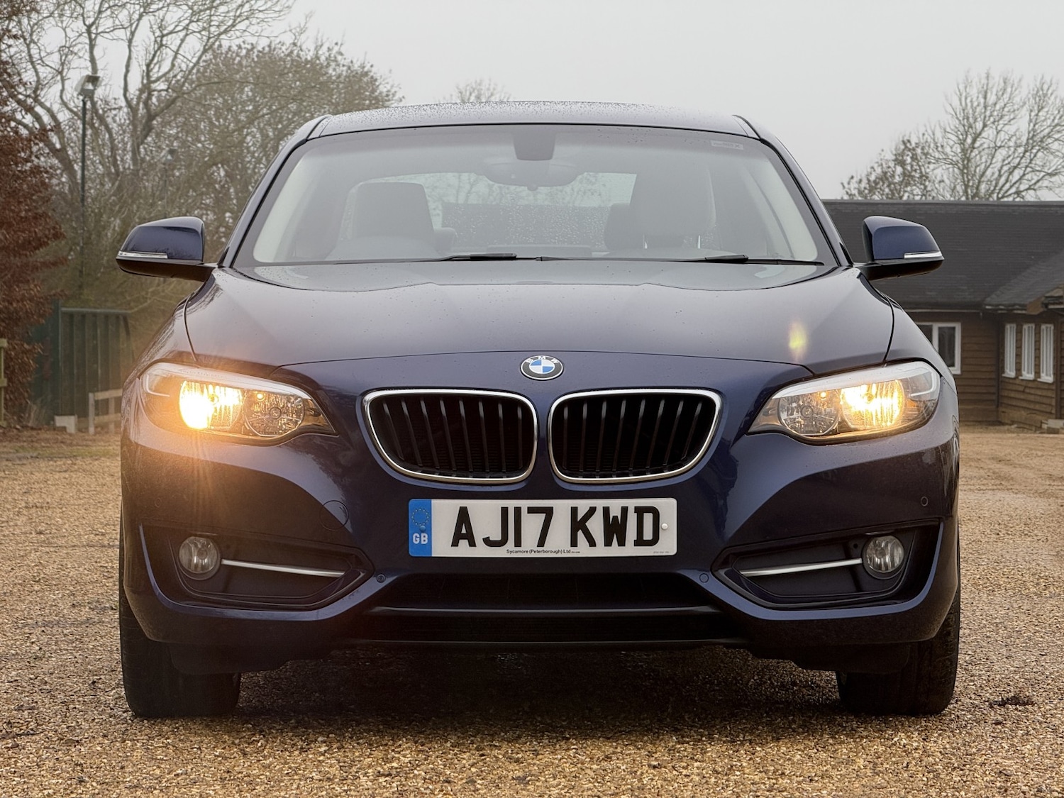 Used BMW 2 Series 2017 for sale - 77176174: Photo 2