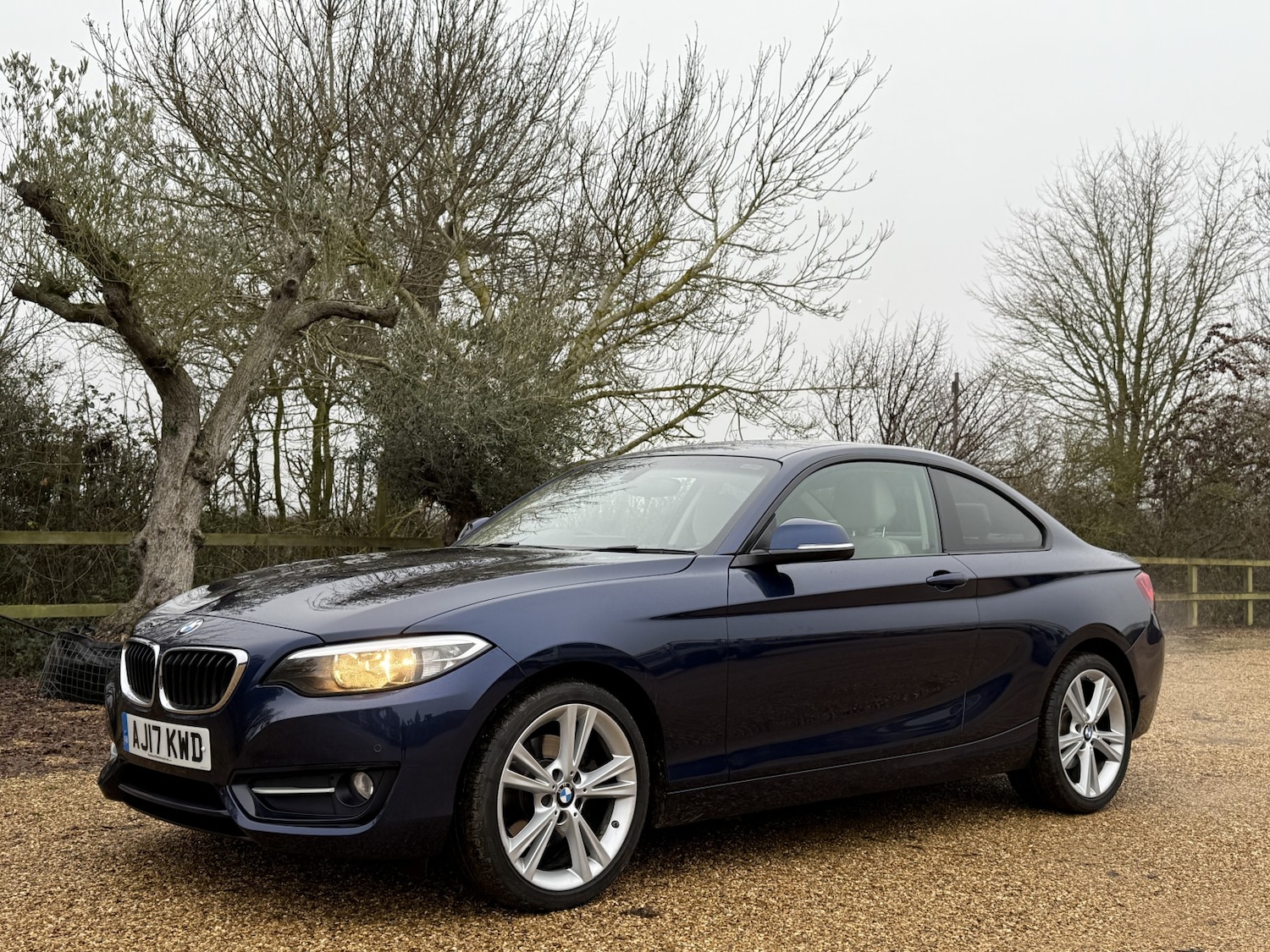 Used BMW 2 Series 2017 for sale - 77176174: Photo 3
