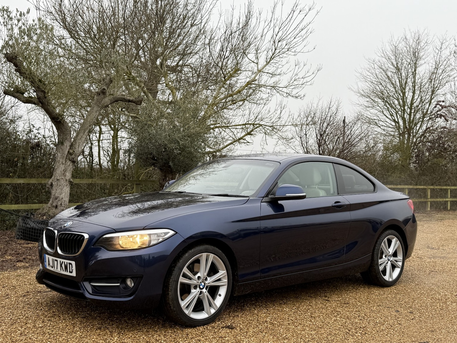 Used BMW 2 Series 2017 for sale - 77176174: Photo 4