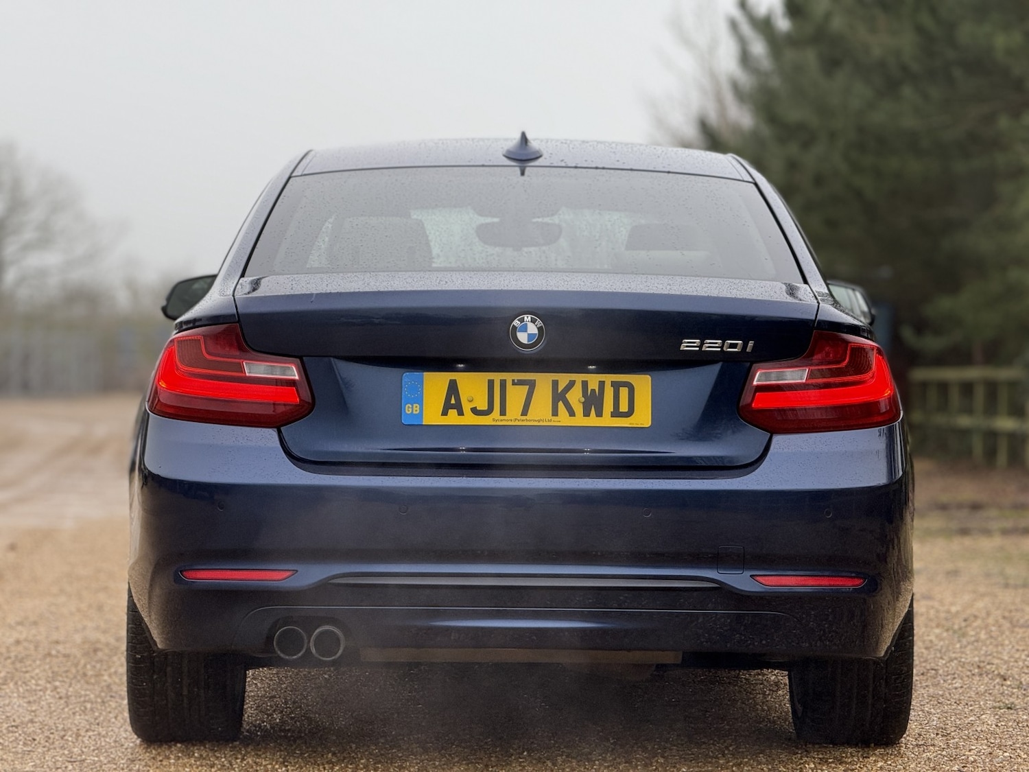 Used BMW 2 Series 2017 for sale - 77176174: Photo 8