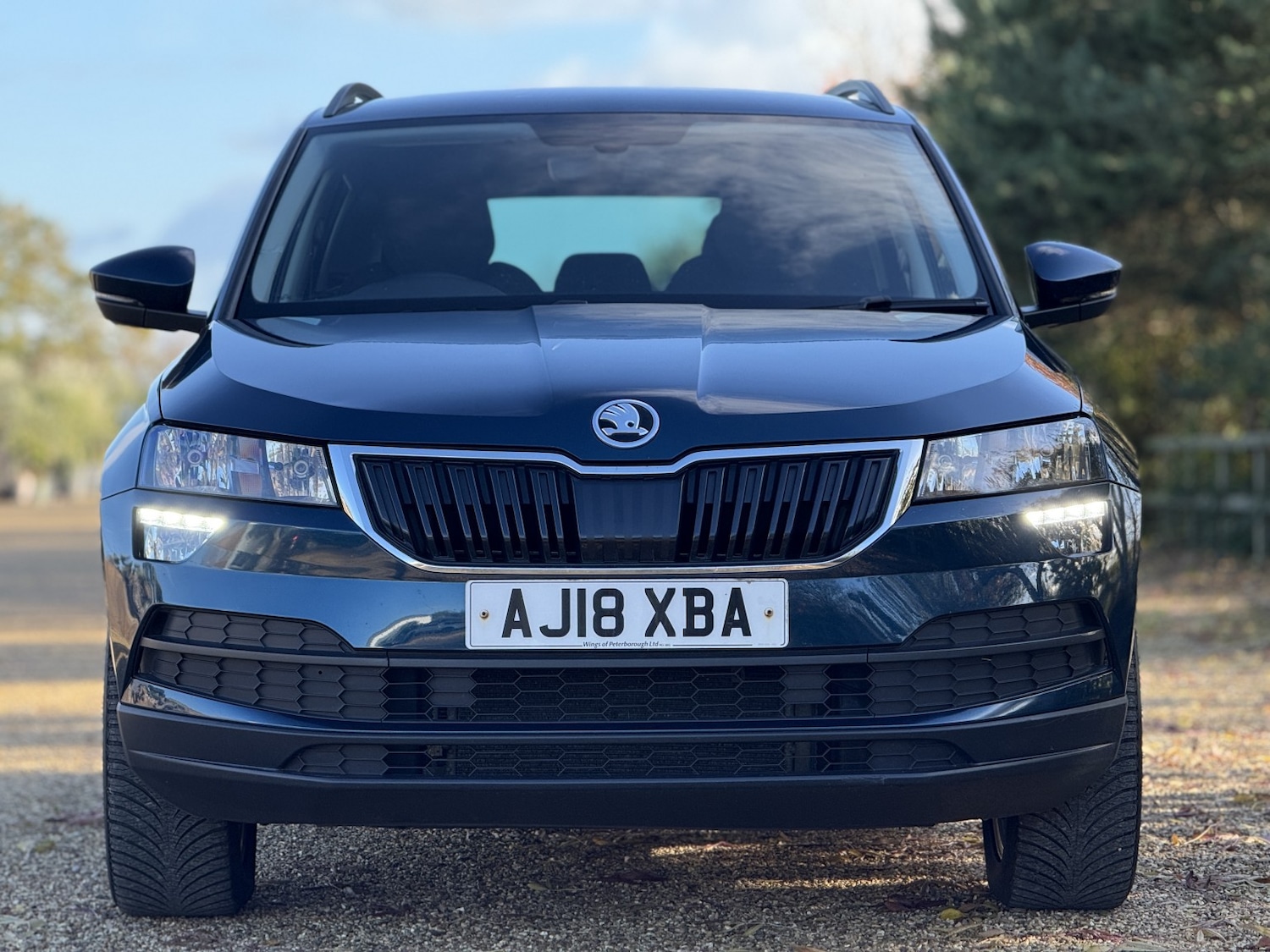 Used Skoda Karoq 2018 for sale - 77176183: Photo 6