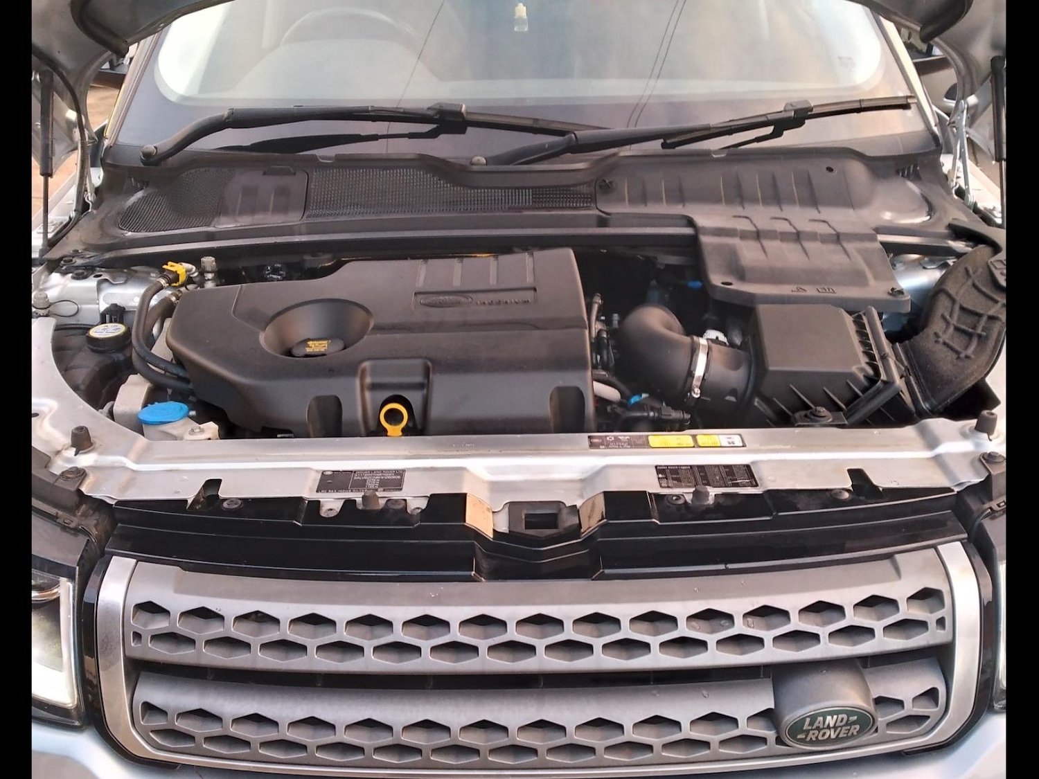 Used Land Rover Range Rover Evoque 2017 for sale - 69521352: Photo 17