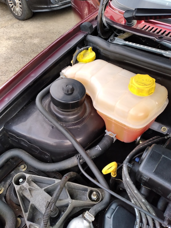 Used Ford Fiesta 1998 for sale - 74981602: Photo 17