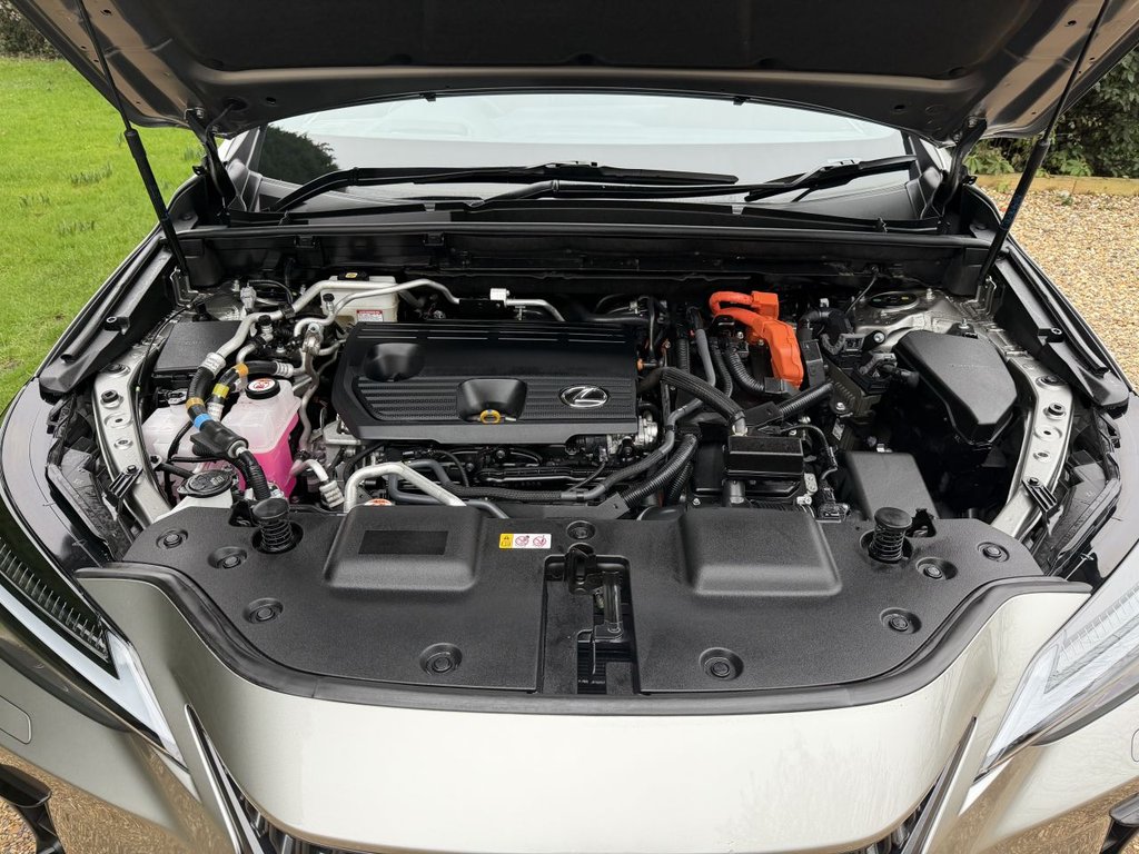 Used Lexus NX 2024 for sale - 77594600: Photo 39