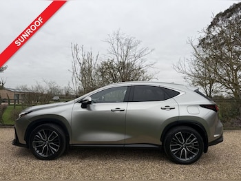 Used Lexus NX 2024 for sale - 77594600: Photo