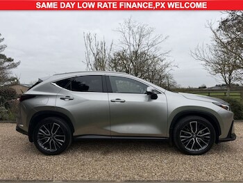 Used Lexus NX 2024 for sale - 77594600: Photo