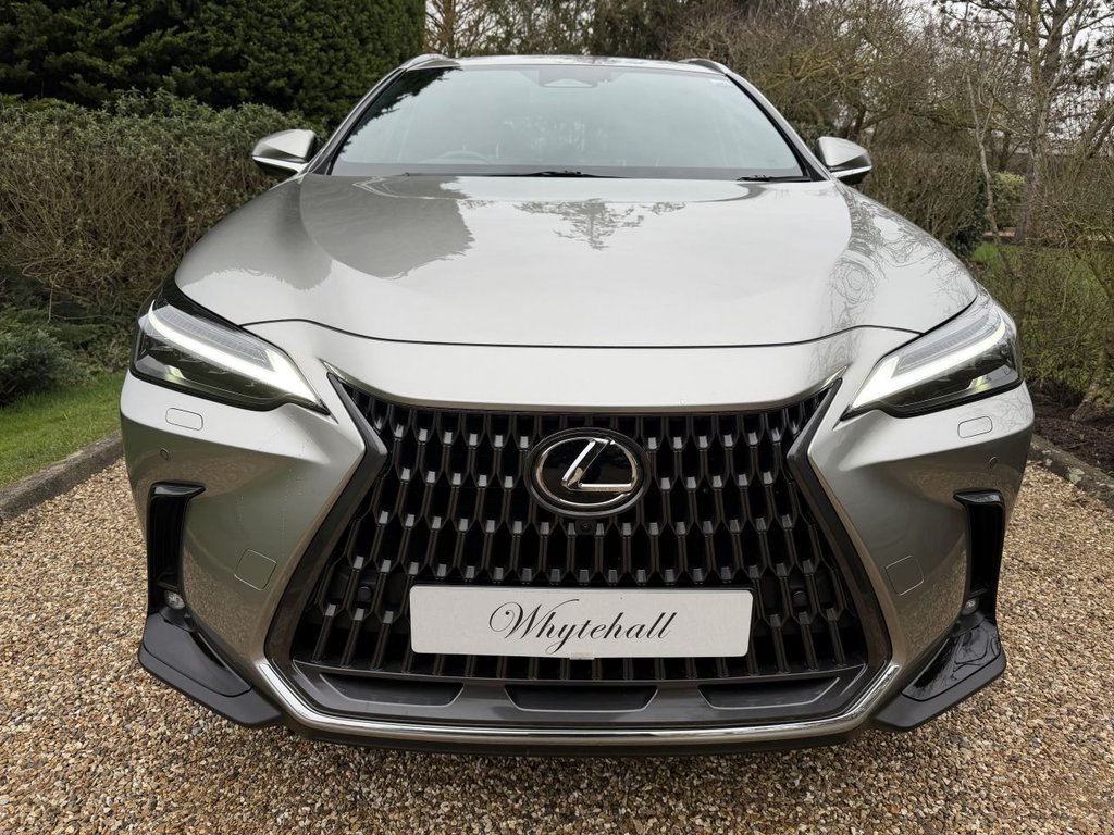 Used Lexus NX 2024 for sale - 77594600: Photo 5