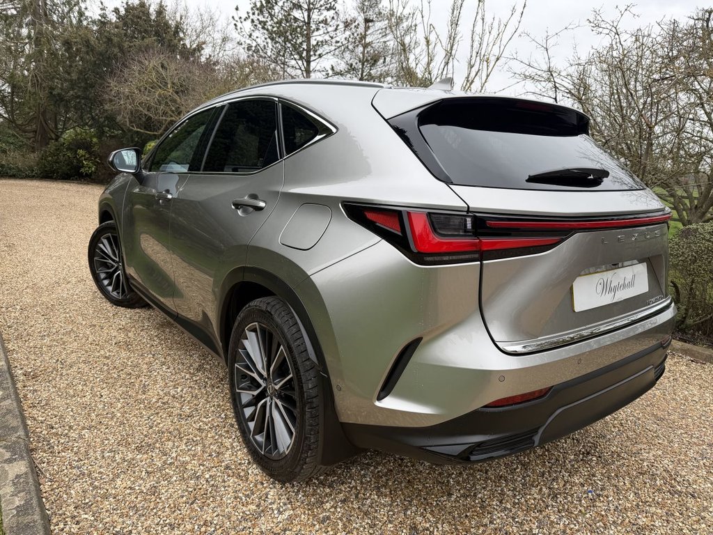 Used Lexus NX 2024 for sale - 77594600: Photo 8