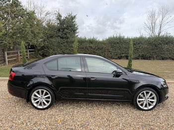 Used Skoda Octavia 2019 for sale - 79722708: Photo