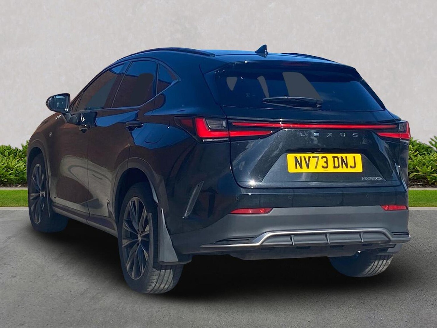 Used Lexus NX 2023 for sale - 76101343: Photo 2