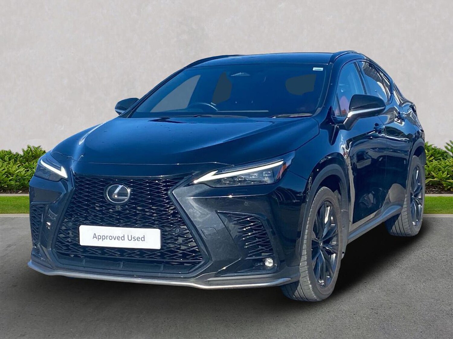 Used Lexus NX 2023 for sale - 76101343: Photo 20