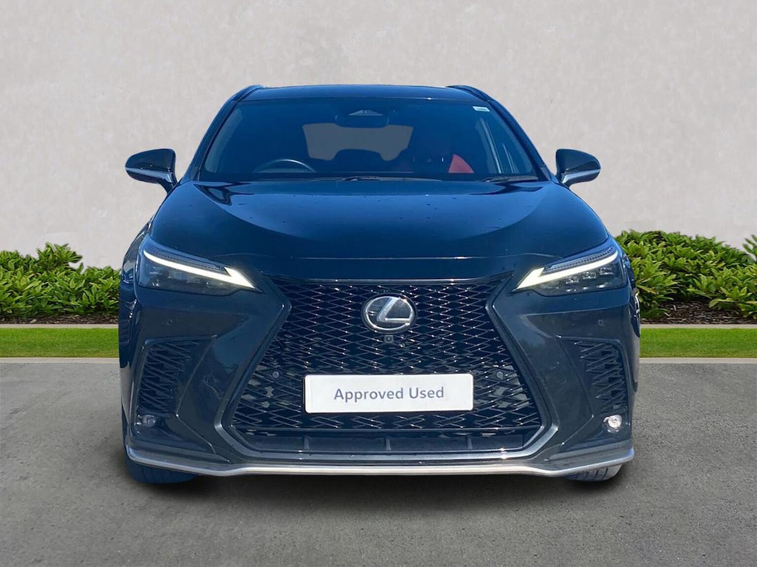 Used Lexus NX 2023 for sale - 76101343: Photo 5