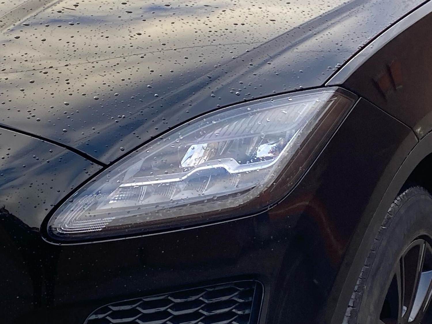 Used Jaguar E-Pace 2019 for sale - 76682570: Photo 33