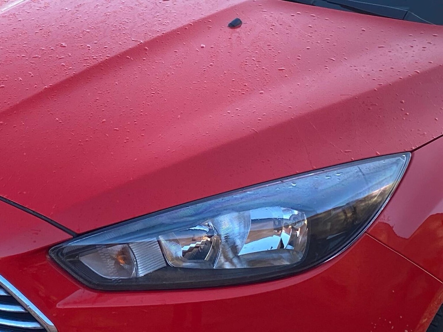 Used Ford Focus 2017 for sale - 76799404: Photo 33