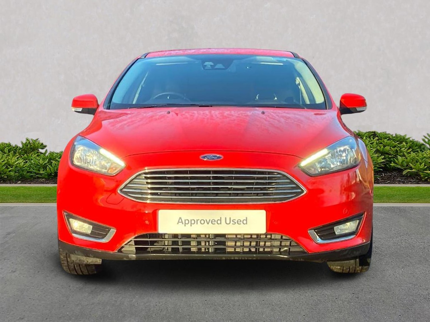 Used Ford Focus 2017 for sale - 76799404: Photo 5