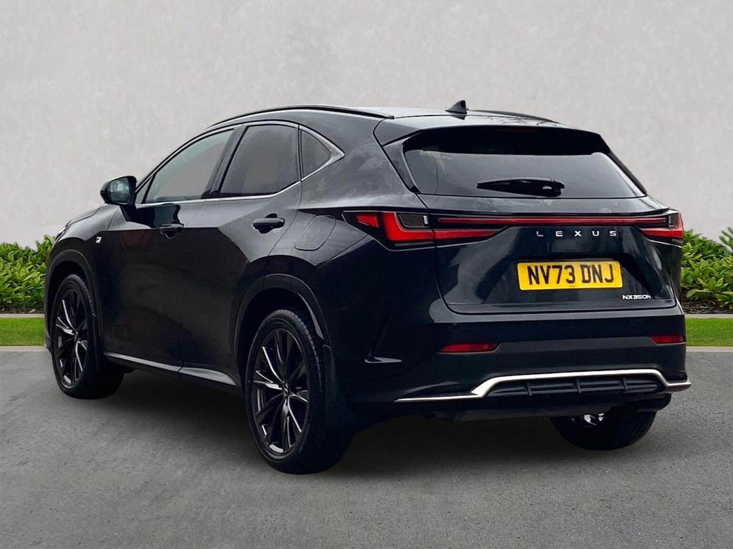 Used Lexus NX 2023 for sale - 77488073: Photo 2