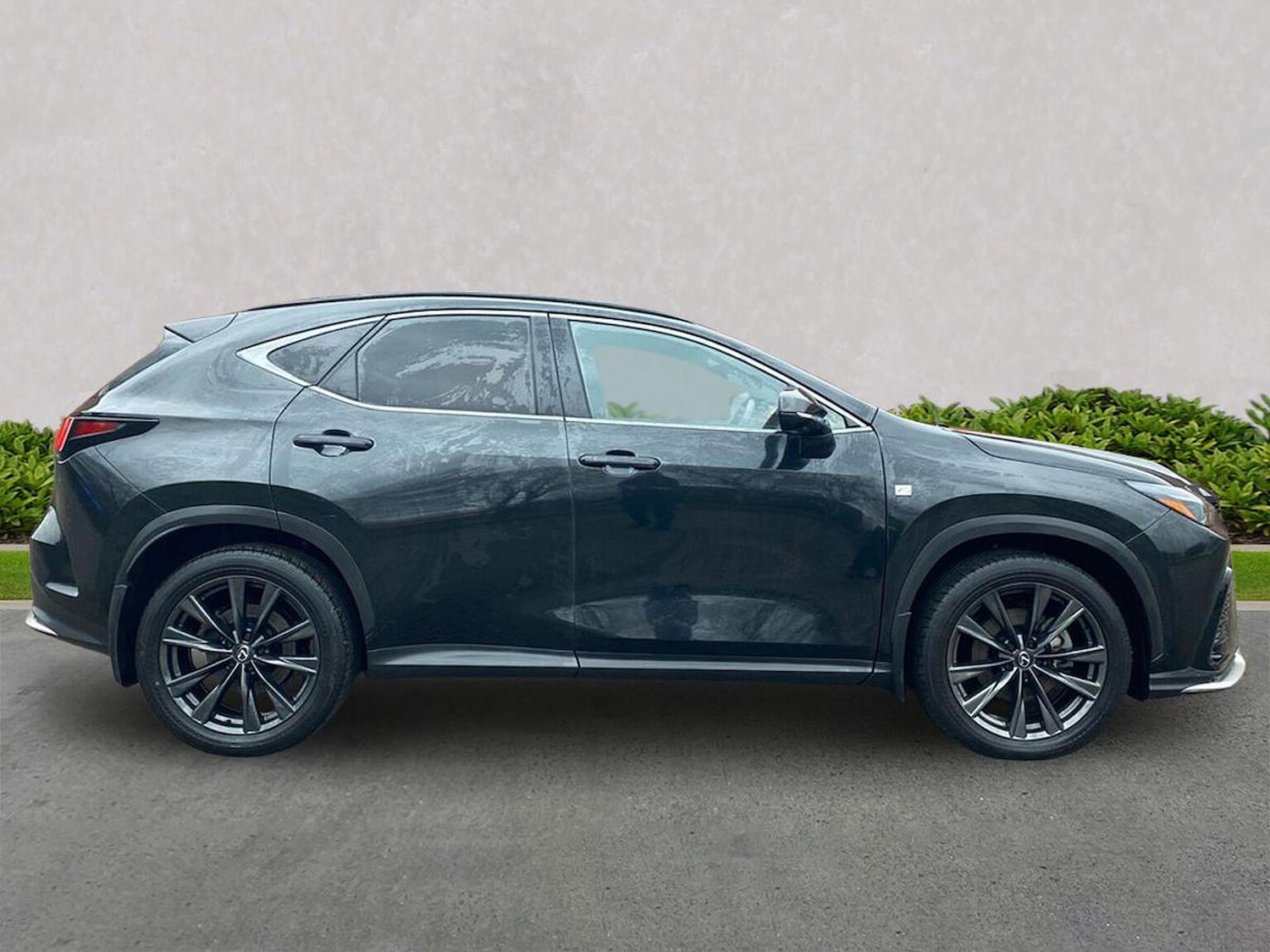 Used Lexus NX 2023 for sale - 77488073: Photo 3