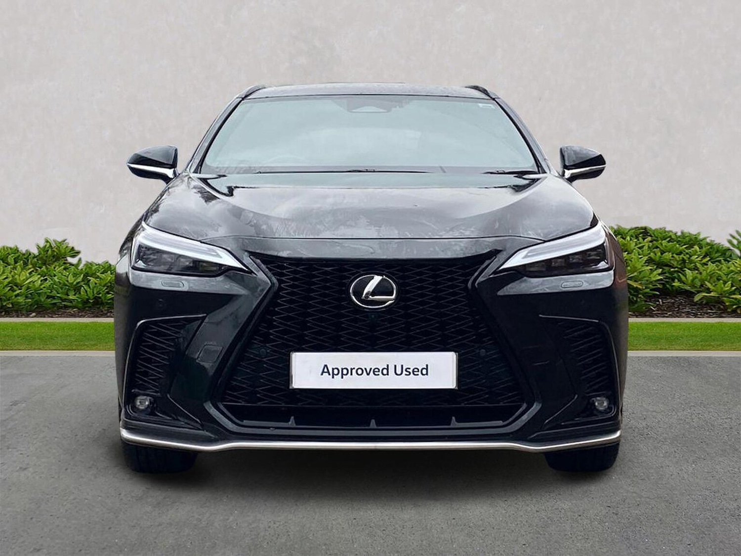 Used Lexus NX 2023 for sale - 77488073: Photo 5