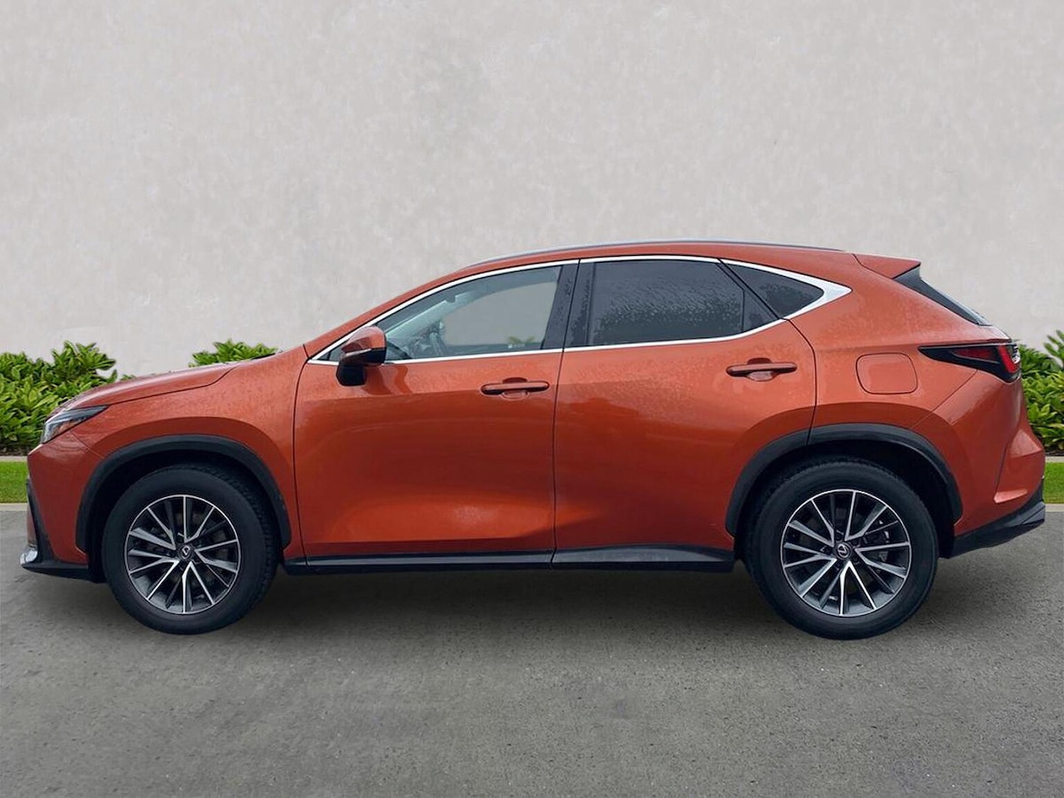 Used Lexus NX 2023 for sale - 78195545: Photo 19