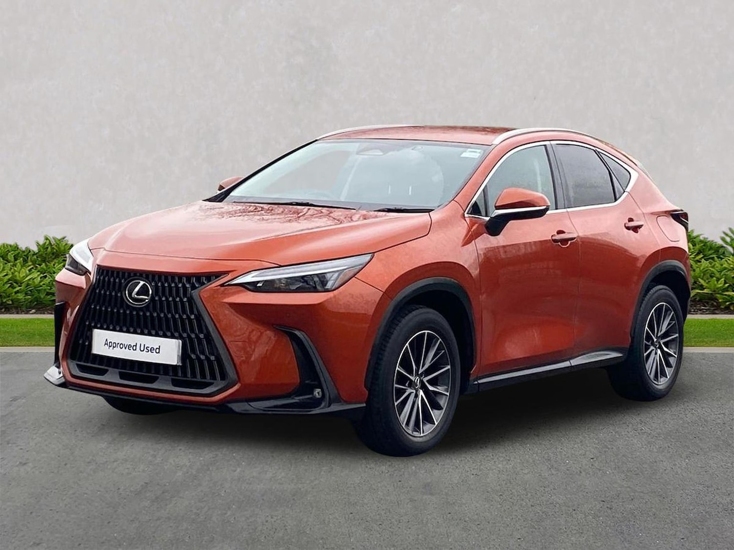 Used Lexus NX 2023 for sale - 78195545: Photo 20
