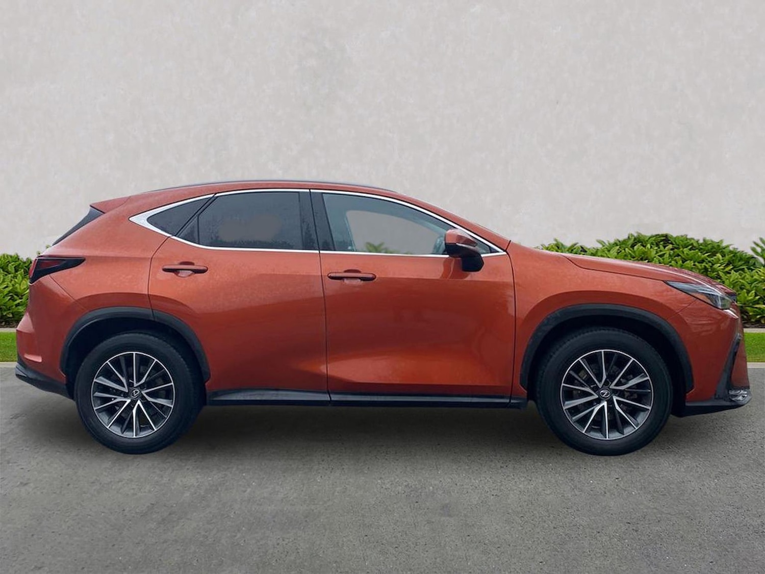 Used Lexus NX 2023 for sale - 78195545: Photo 3