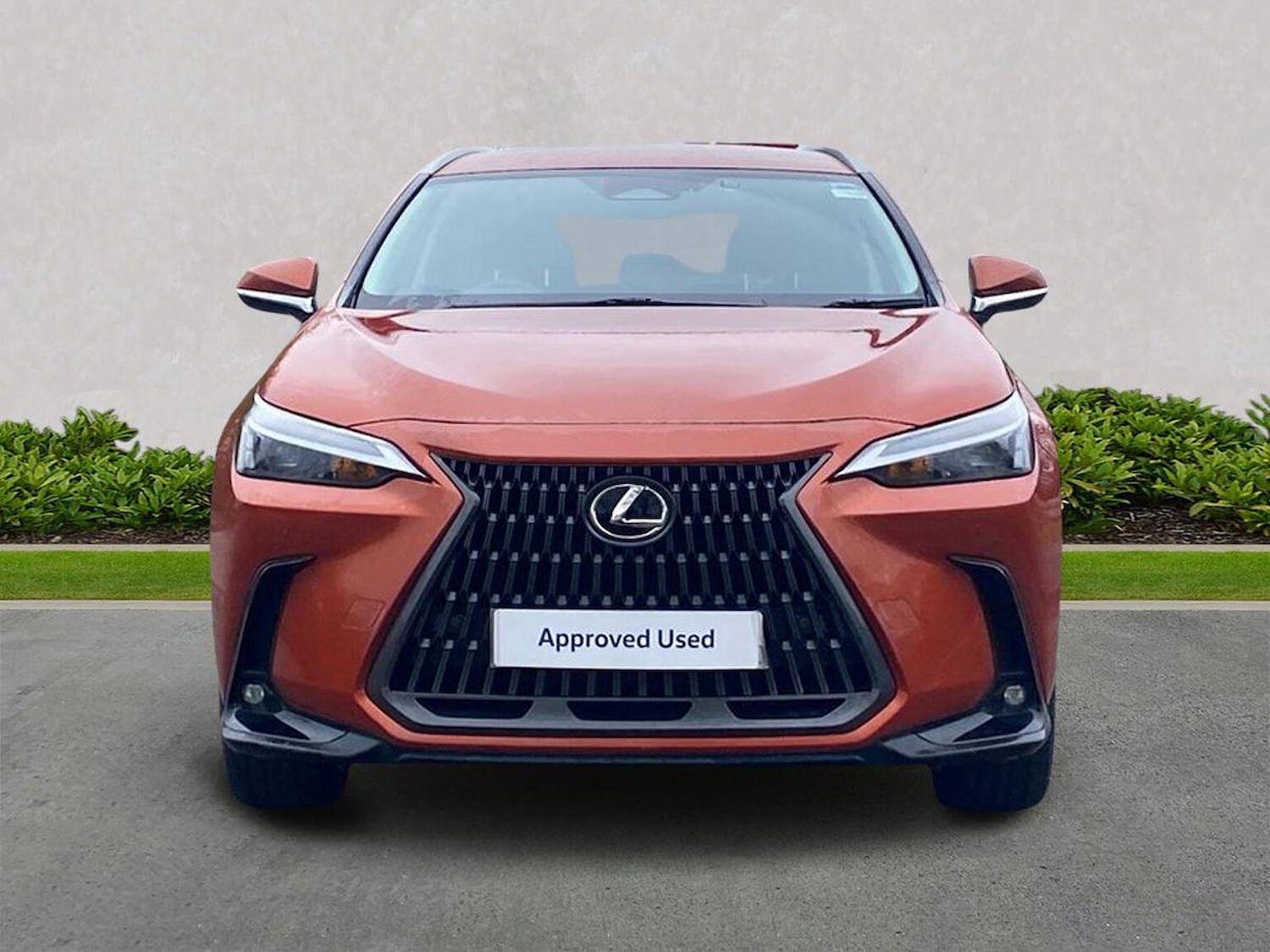 Used Lexus NX 2023 for sale - 78195545: Photo 5