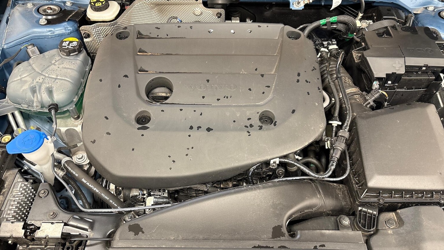 Used Volvo XC40 2025 for sale - 77802135: Photo 14