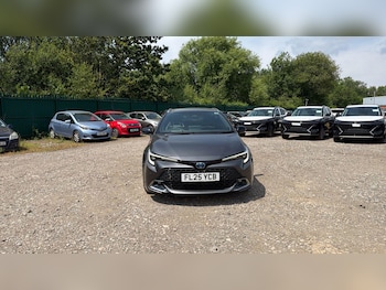 Used Toyota Corolla 2025 for sale - 79049048: Photo