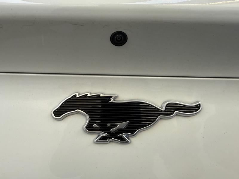 Used Ford Mustang Mach-E 2025 for sale - 77261095: Photo 11