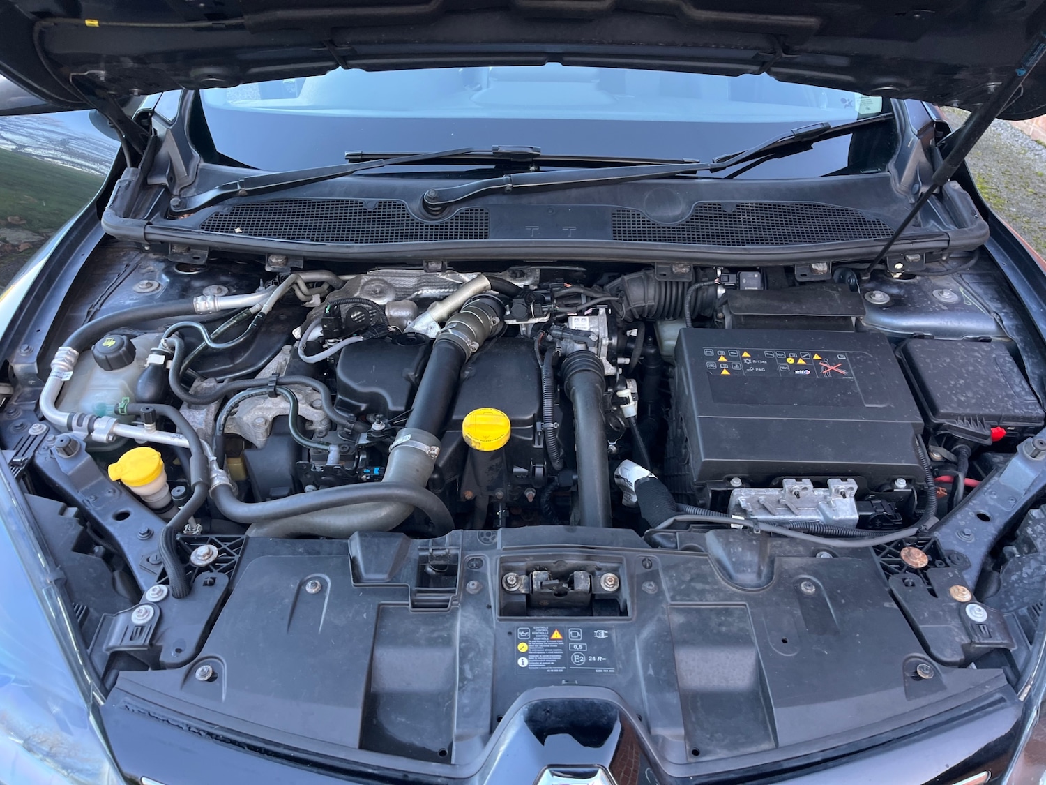 Used Renault Megane 2016 for sale - 76618901: Photo 15