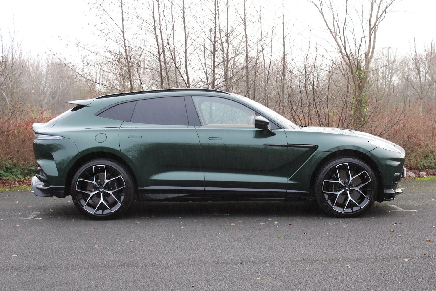 Used Aston Martin DBX 2025 for sale - 77067021: Photo 13