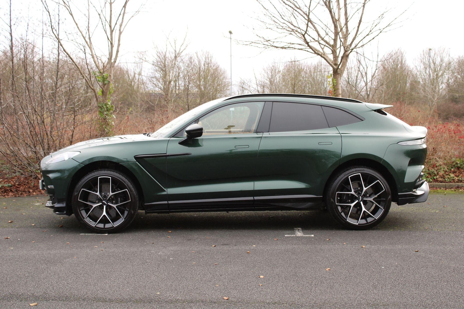 Used Aston Martin DBX 2025 for sale - 77067021: Photo 14