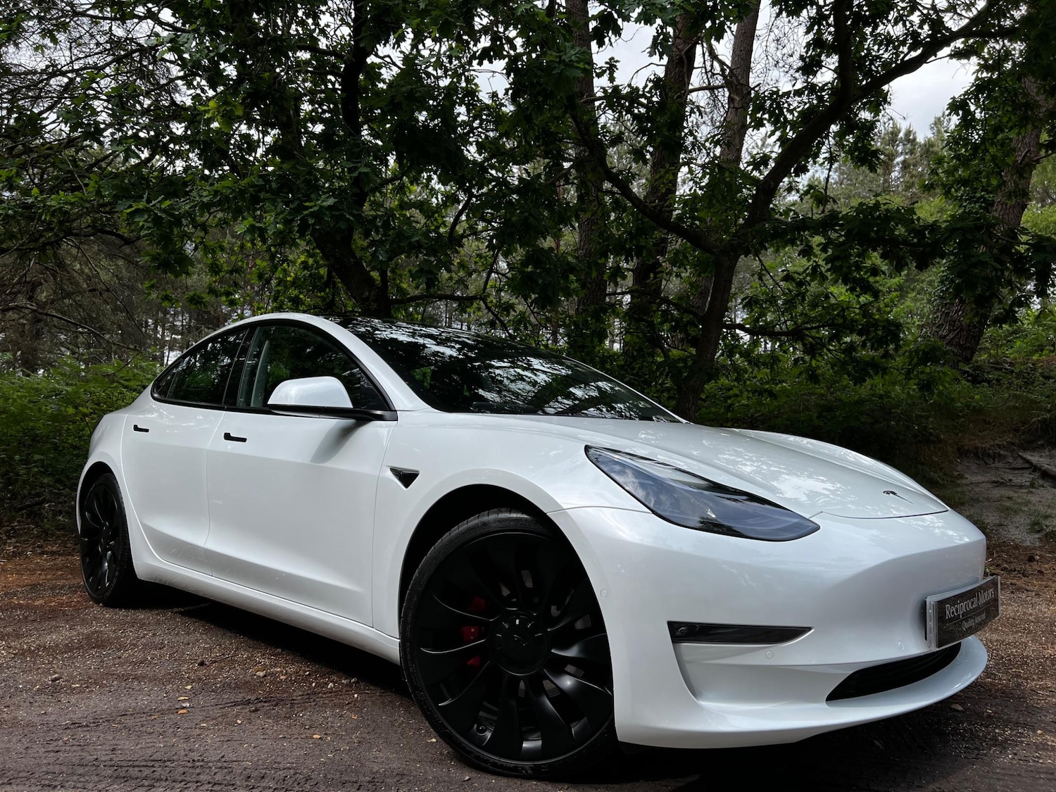 Used Tesla Model 3 2021 for sale - 77157596: Photo 1