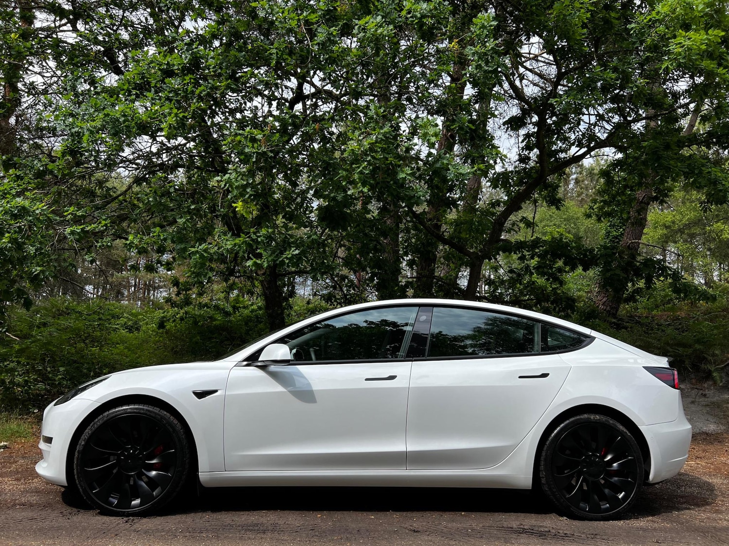 Used Tesla Model 3 2021 for sale - 77157596: Photo 15