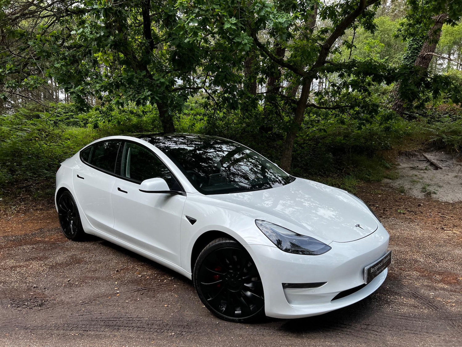 Used Tesla Model 3 2021 for sale - 77157596: Photo 5
