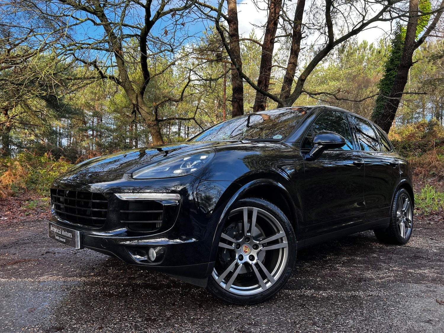 Used Porsche Cayenne 2018 for sale - 77230234: Photo 12
