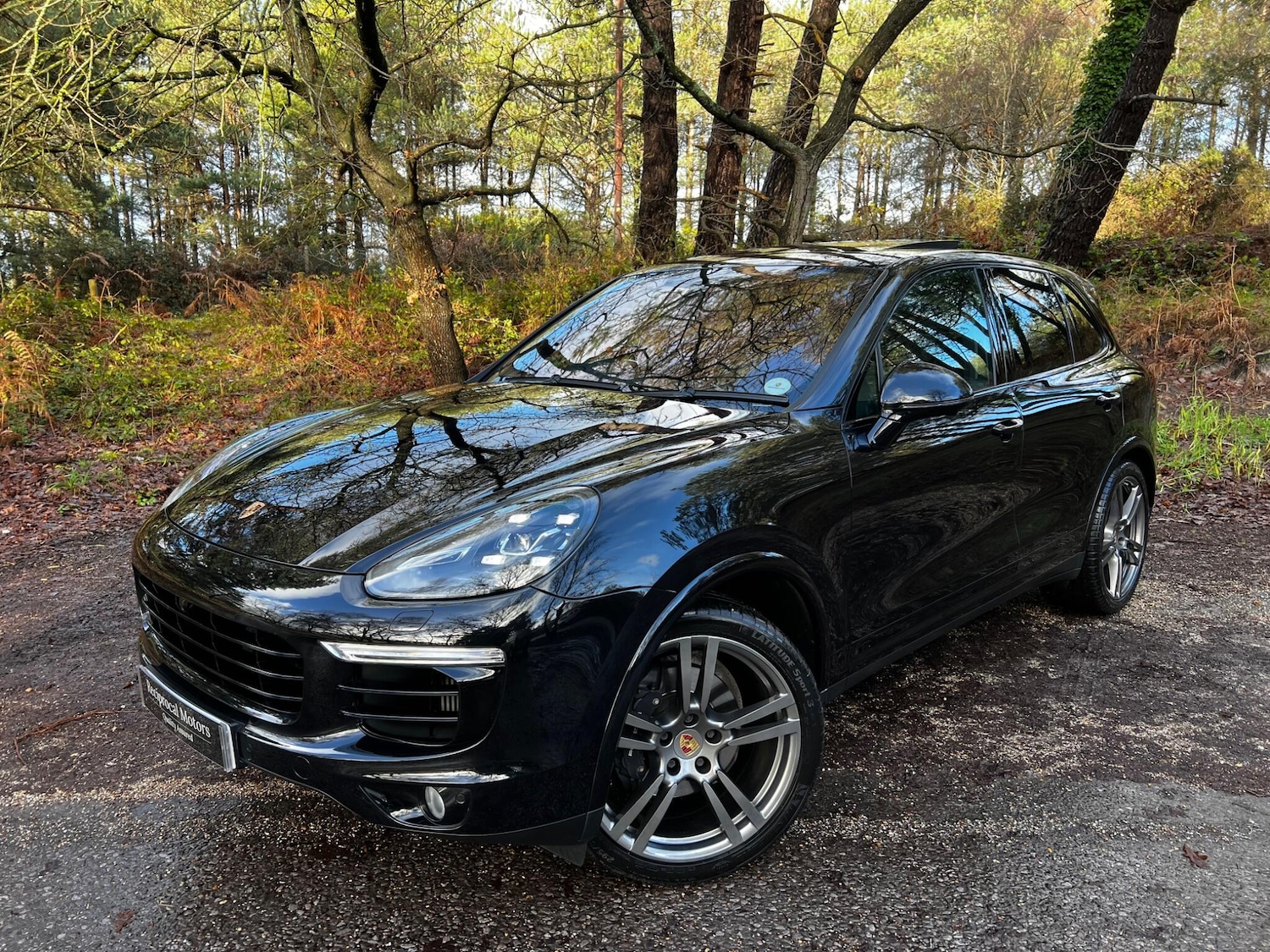 Used Porsche Cayenne 2018 for sale - 77230234: Photo 13