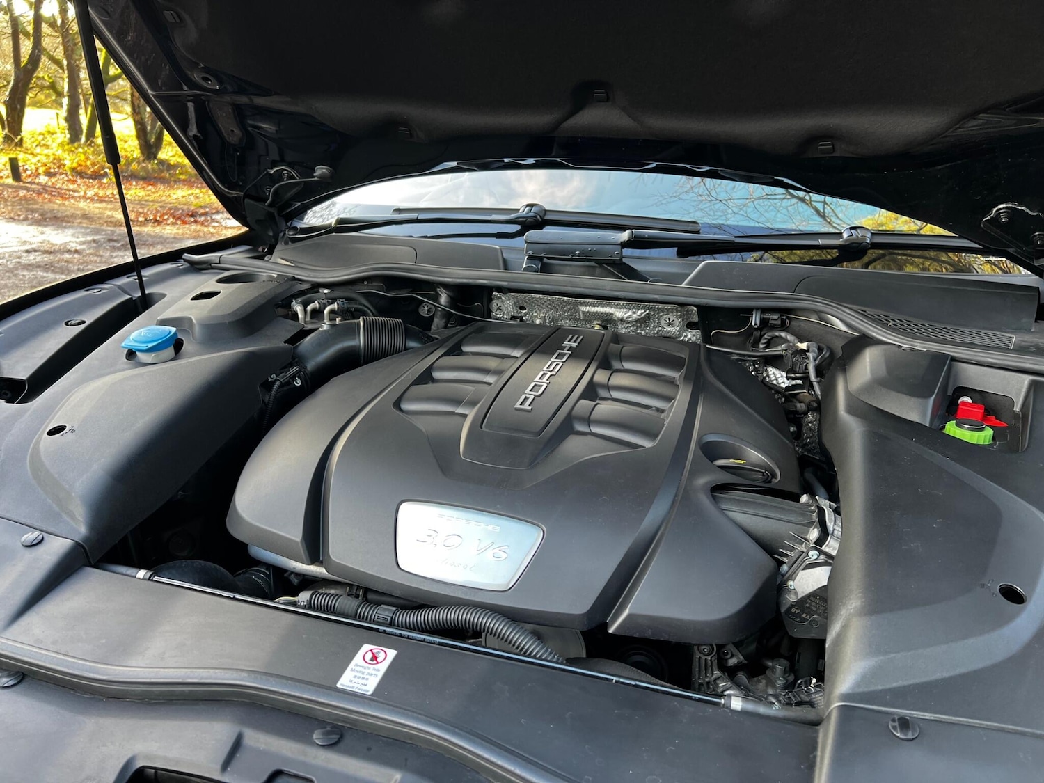 Used Porsche Cayenne 2018 for sale - 77230234: Photo 35