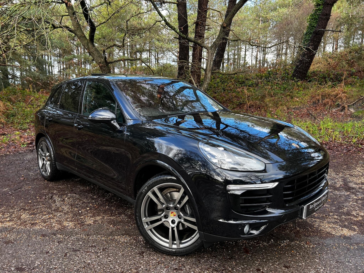 Used Porsche Cayenne 2018 for sale - 77230234: Photo 5