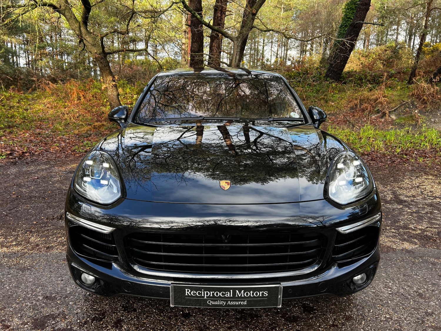 Used Porsche Cayenne 2018 for sale - 77230234: Photo 9