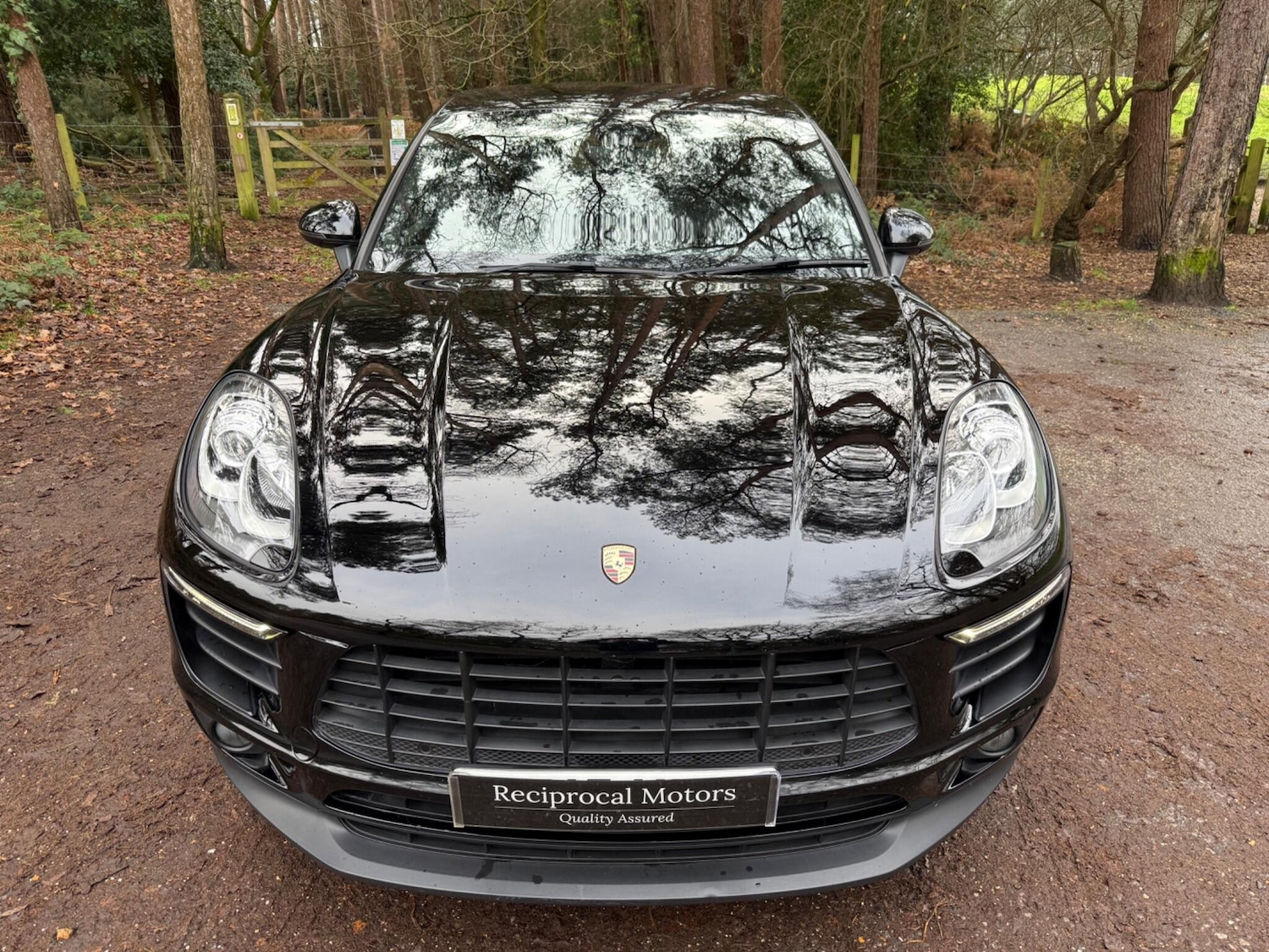 Used Porsche Macan 2015 for sale - 77157591: Photo 6