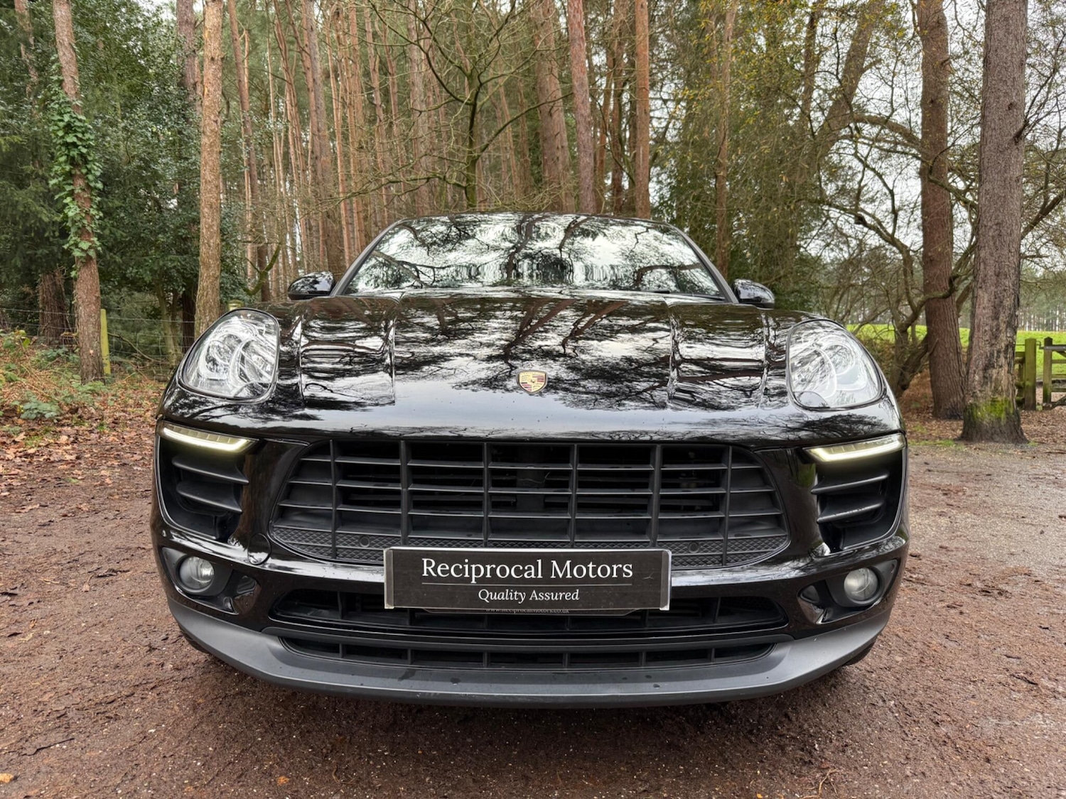 Used Porsche Macan 2015 for sale - 77157591: Photo 9