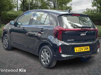 Used Kia Picanto 2024 for sale - 74222874: Photo