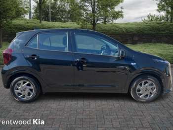 Used Kia Picanto 2024 for sale - 74222874: Photo