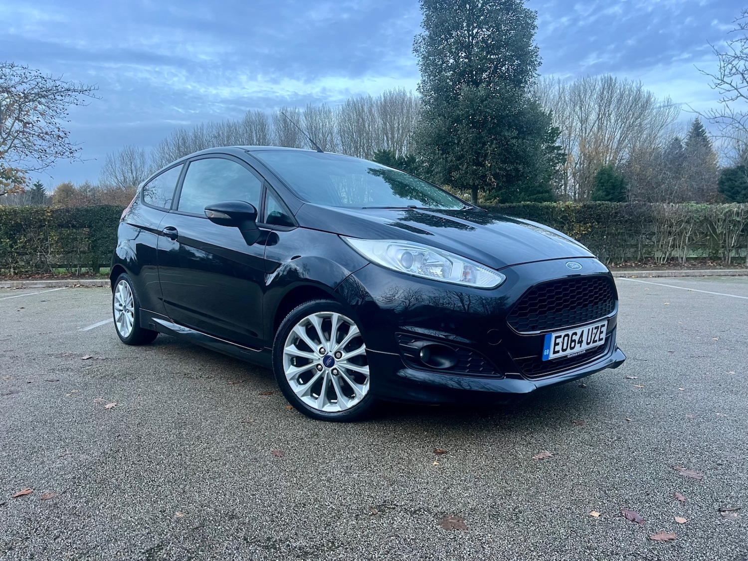 Used Ford Fiesta 2014 for sale - 76630418: Photo 1