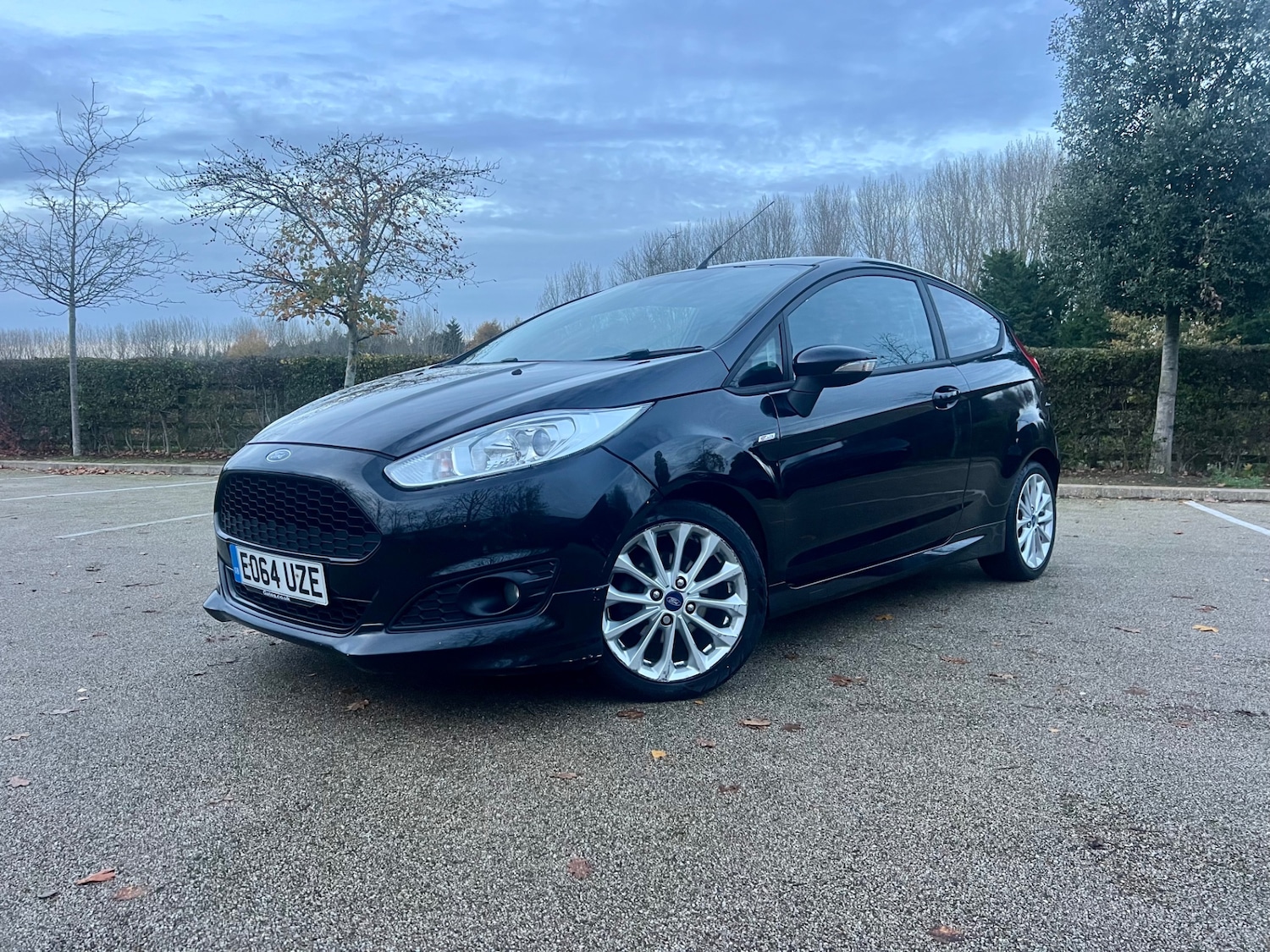 Used Ford Fiesta 2014 for sale - 76630418: Photo 3